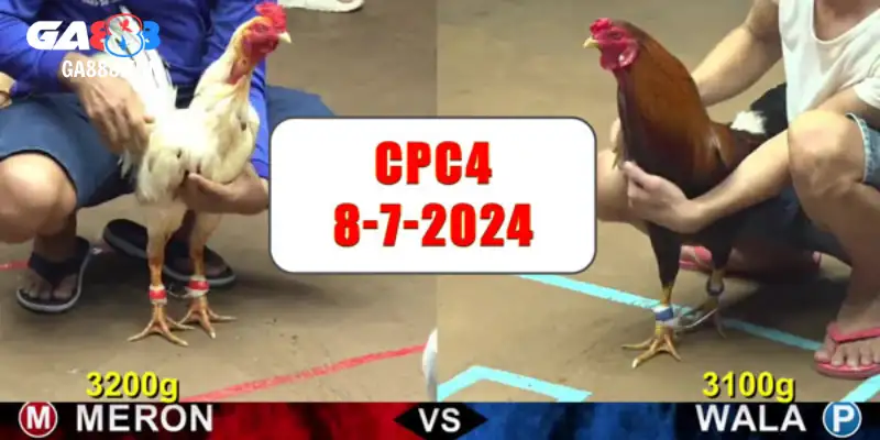 Trải nghiệm từng trận đấu gay cấn