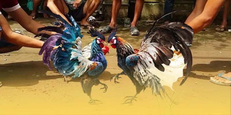 Link truy cập vào trang chủ GA888 uy tín